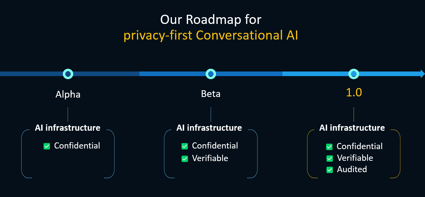 Our Roadmap for Privacy-First Conversational AI